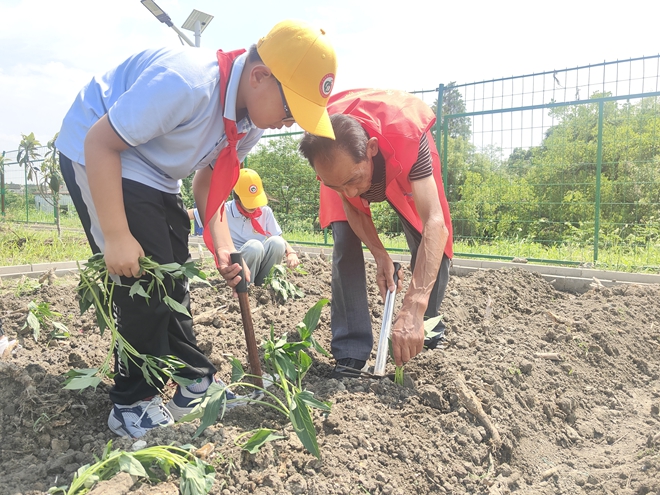 1780889334782863.jpg 【平望镇】上横村关工委:于田园烟火间领略农耕魅力.jpg