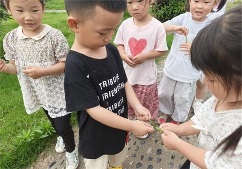 1780899443656196.jpg 7ddd4653f72217494b37c0fda83e236f_看图王.jpg