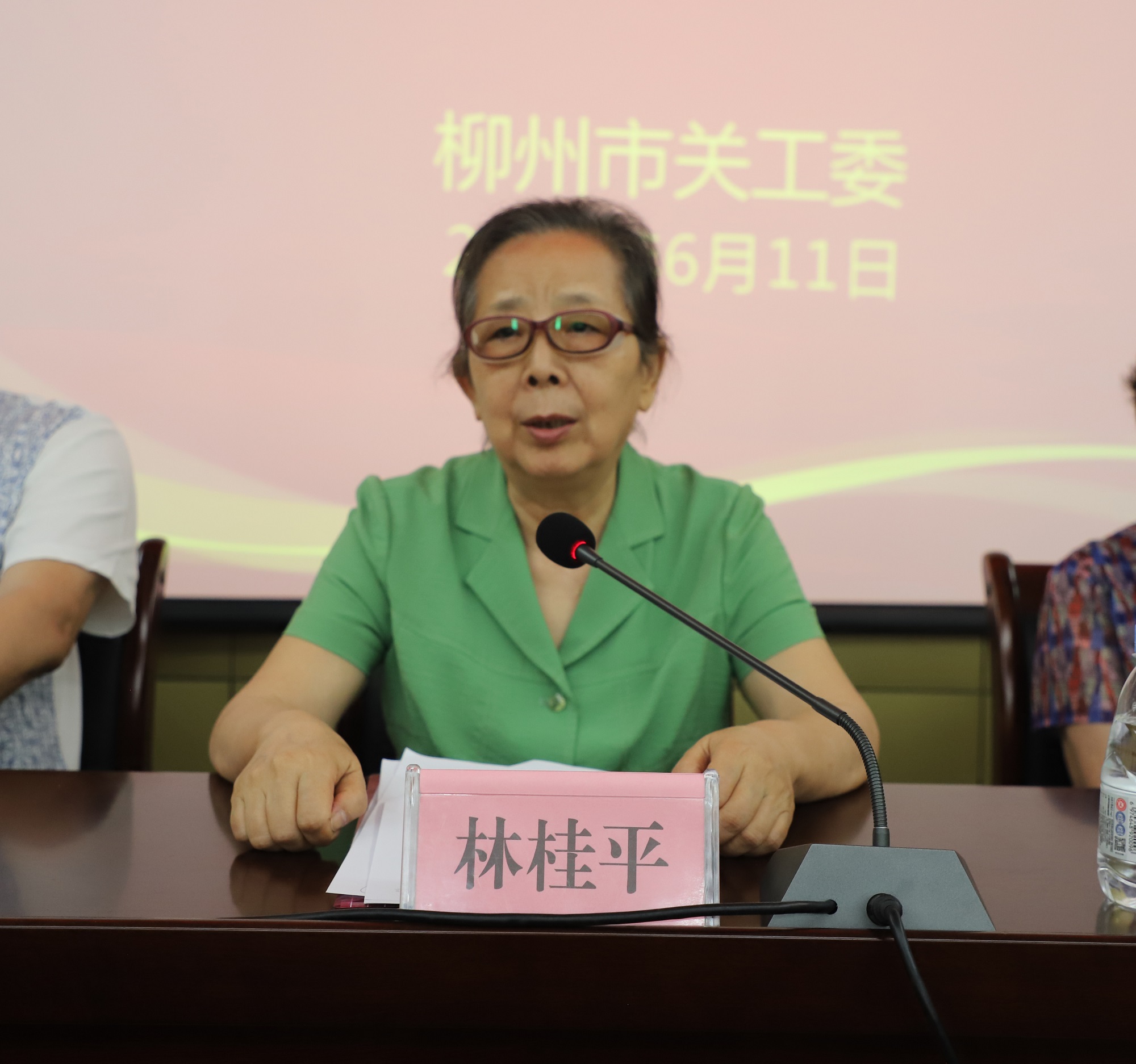 市关工委执行主任林桂平发表讲话 2.jpg