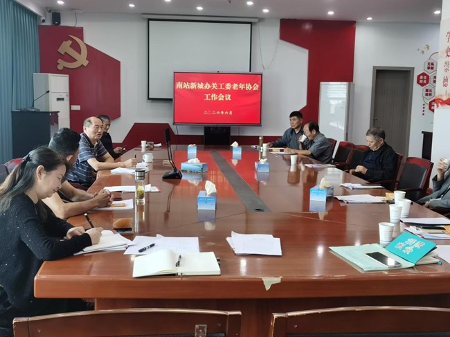 汾湖高新区南站新城办：发挥“五老”优势 共筑关爱新篇.jpg